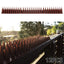 12Pcs Fence Wall Spikes Bird Deterrent Spikes Plastic Anti Climb Cat Animal Repellent For Garden Fences Birds Pigeons Spikes