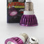 Reptile 110/220V Night Lamp Imitation Moonlight Light Night Sleep Lighting Lamp for Turtle Lizard Snake Reptile Amphibian