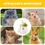 Feeding Bottle For Kittens Puppies Kitten Nursing Bottles Pet Anti-Choke Milk Feeder Non-Bloating Portable Preferred NewbornUse