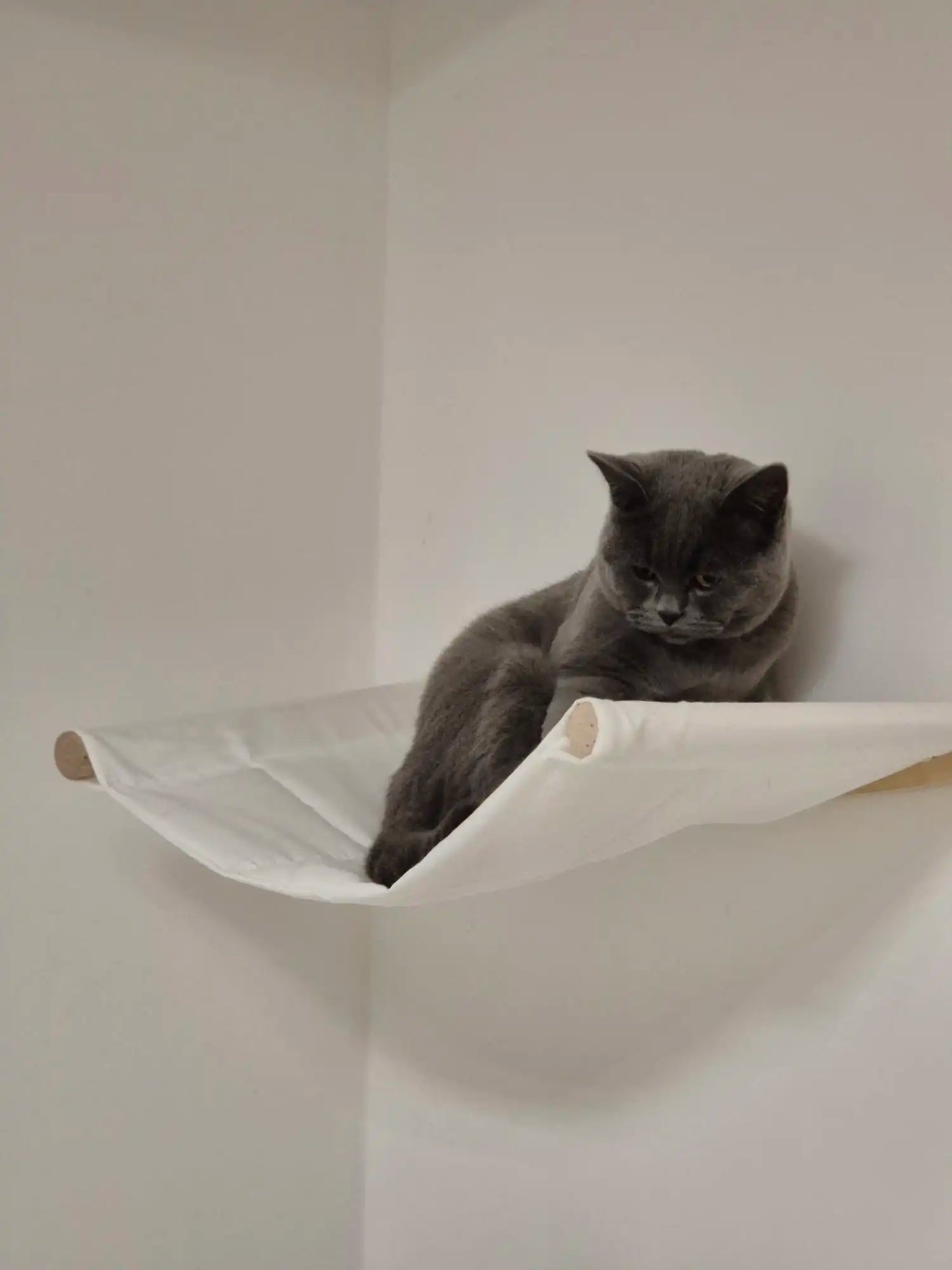 Cat Tree Wall Mounted Cat Shelves Scratching Post for Cat Jumping Platform and Cat Hammock Rope Ladder Wall Wooden Furniture