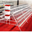 Factory price high quality Hens Chicken Layer Cage Poultry farm equipment