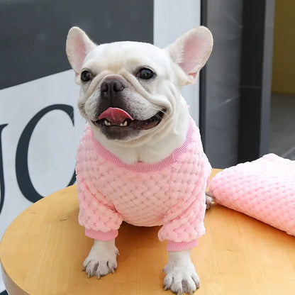 2024 New Warm Fleece Pet Clothes Cute Print Coat Small Medium Dog Cat Shirt Jacket Teddy French Bulldog Chihuahua Winter Outfit