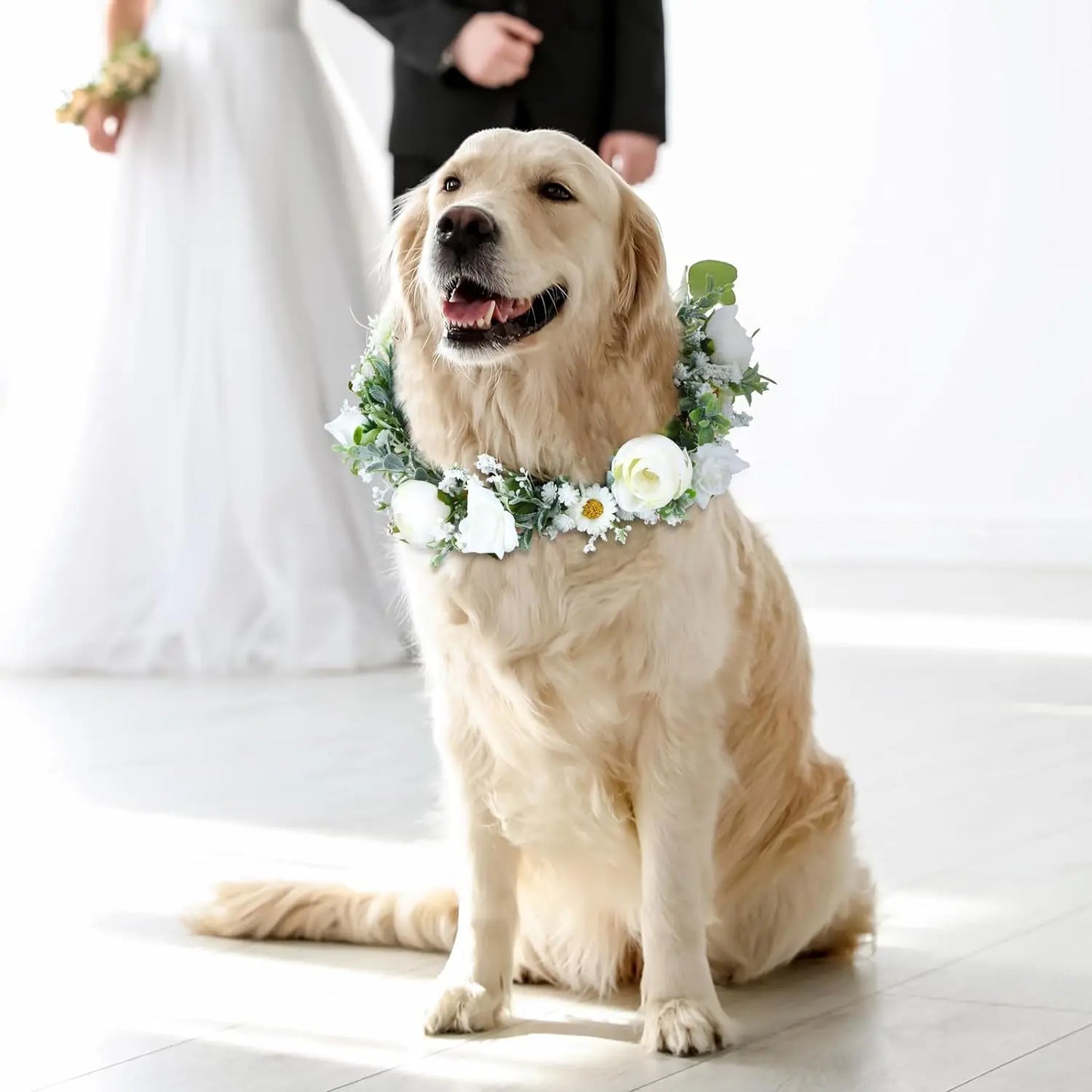 Adjustable Elegant Dog Wedding Flower Collar for Medium Large Dogs Cats, Pet Wedding Photo Props Costume Accessories