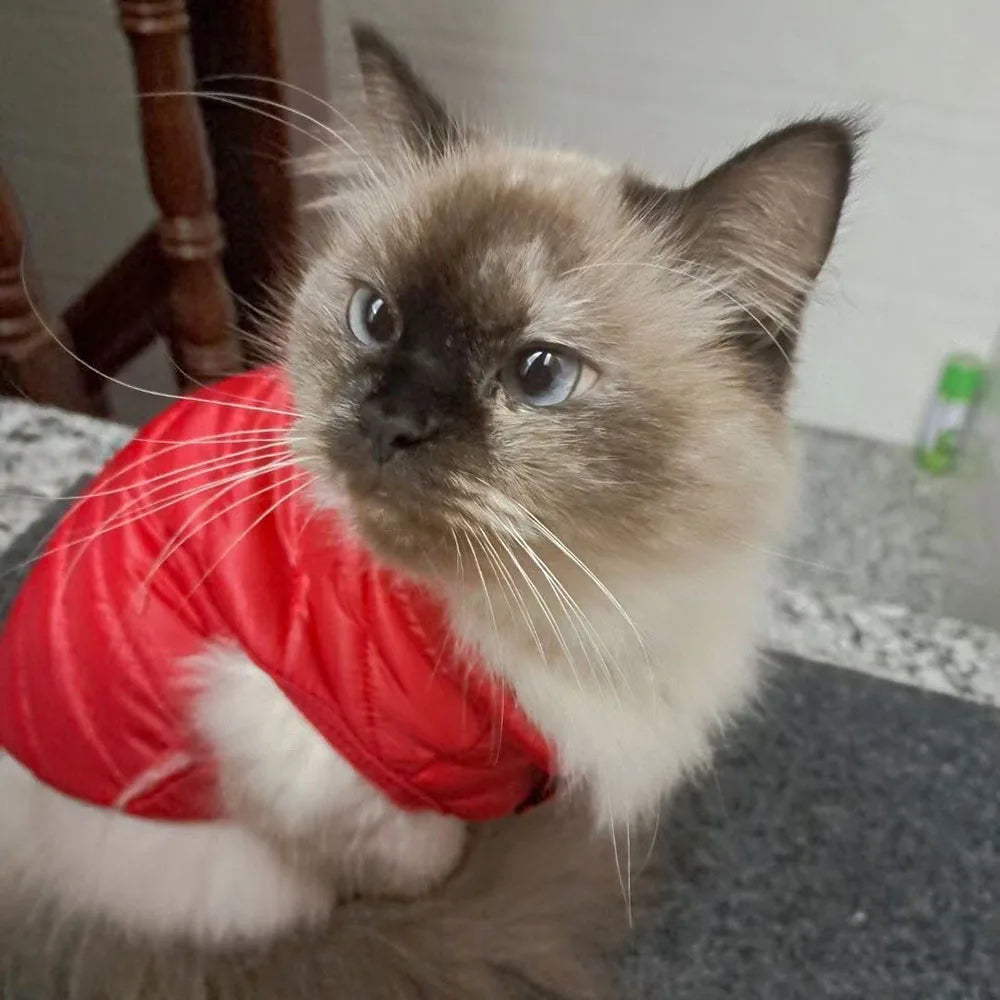 Winter Pet Puppy Dog Cat Clothes Ultralight Kitten Cat Down Coat Jacket Soft Warm Cotton Vest for Kitten Fat Cat Sport Clothing