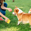 Dog Foraging Toys Pet Teething Foraging Squeaky Toy Interactive Chewing Toys For Indoor Dogs Puppy Reducing Boredom For Bedroom