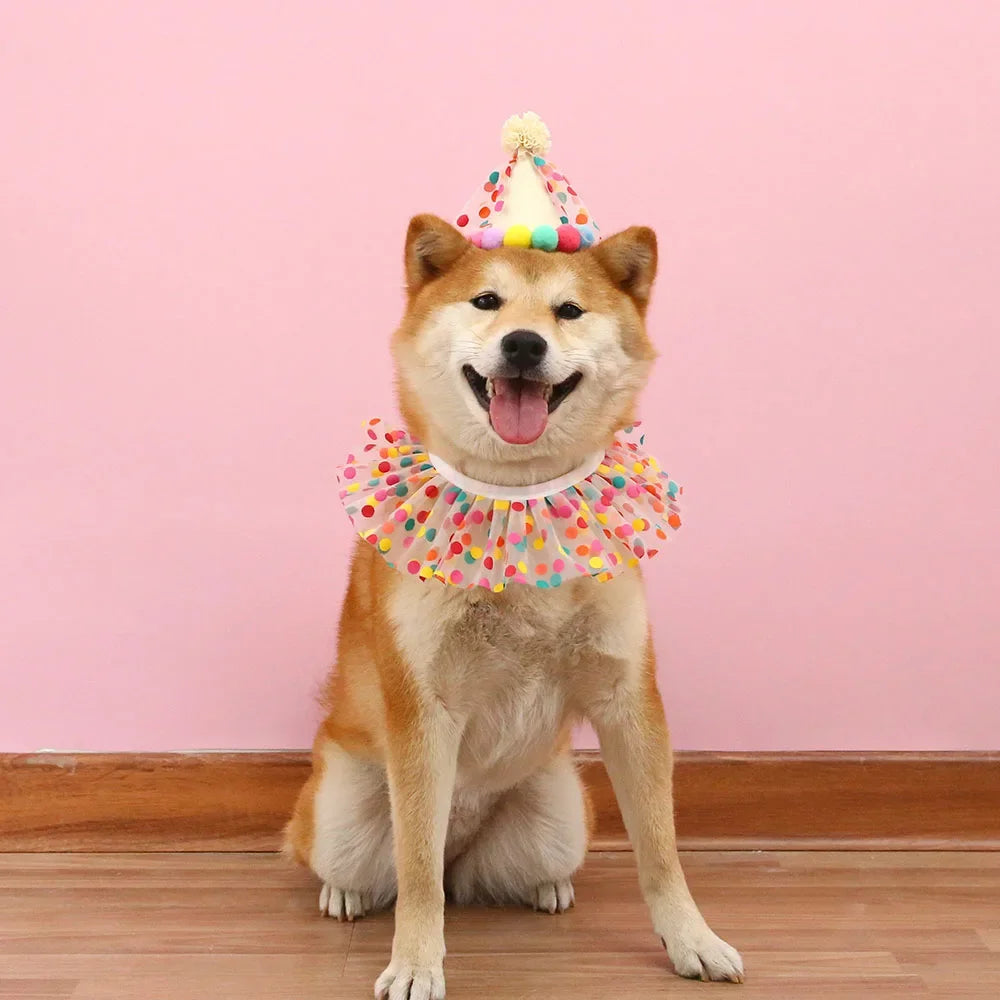 Pet Birthday Accessories Small Dog Cat Birthday Hat with Bandana Collar Pet Birthday Decorations for Kitten Pet Party Outfits