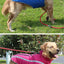 High Collar Big Dog Coat Jacket Winter Warm Thicken Pet Clothes for Medium Large Dogs Labrador Samoye Jackets mascotas Clothing