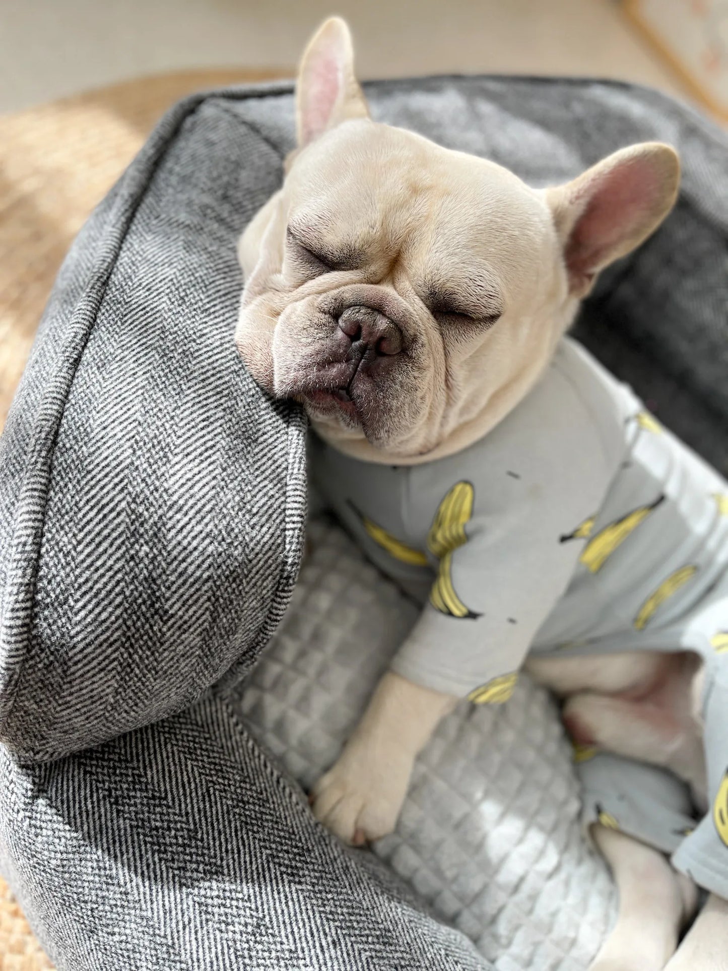 Deep sleep hexagonal dog sofa French fighting kennel dog bed fully removable and washable pet bed thick warm dog cushion