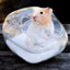 Hamster Bathroom Panoramic Transparent Hamster Mouse Pet Toilet Cage Box Bath Sand Room Toy House Small Pet Supplies Accessories