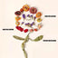 Hamster Flowers Natural Dried Flower Gerbil Bedding Odor Control Enclosure Habitat Decor For Rabbits Gerbils Or Other Small