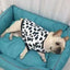 Warm Pet Clothing for Winter Soft Coral Fleece Dog Hoodies Cute Printed Puppy Small Dog Sweater French Bulldog Coat Cats Clothes