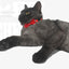 Pet Collars New Pet Bow Bell Collars Cute Cat Collars Pet Supplies Multicolor Adjustable Pet Dressing Tool Pet Accessories