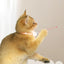 Laser Cat Collar LED Laser Cat Teasing Toy Cat Collar Toy Electric  Smart Laser Teasing Cat Interactive Toy Kitten Playing Toy