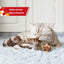 GiGwi Sound Bird Toy Cat Feather Toys Cat Feather Toys Interactive Cat Toy With Sounds Sound Toys Brown Bird, Hedgehog, Mouse
