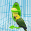 1pcs Bird Cuttlebone Holder Bird Cage Feeding Holder Vegetable Fruits Cuttlebone Holder for Parrot Budgies Parakeet Cockatiel