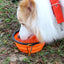 Hot Selling Camping Travel Portable Folding Dog Pet Food Water Bowl