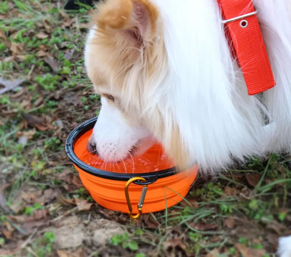 Hot Selling Camping Travel Portable Folding Dog Pet Food Water Bowl