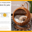Cat and dog kennel rattan pet products Summer pet kennel cool kennel hanging cat basket four seasons universal pet mat