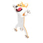 3D Animal Bookmark Original PVC Creative Text Create Cute Funny Cat Stationery
