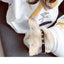 Pet Clothes  Dog Clothes Parent-child Wear Spring and Autumn Korean Version Printing Pure Cotton Two Colors Seven Sizes