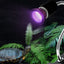 Reptile 110/220V Night Lamp Imitation Moonlight Light Night Sleep Lighting Lamp for Turtle Lizard Snake Reptile Amphibian