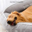 Dog Bed Small Dog for Winter Pet Warm Sofa Halloween Basket Mat Medium Cushions Big Cushion Puppy Accessories Large Dogs Bed
