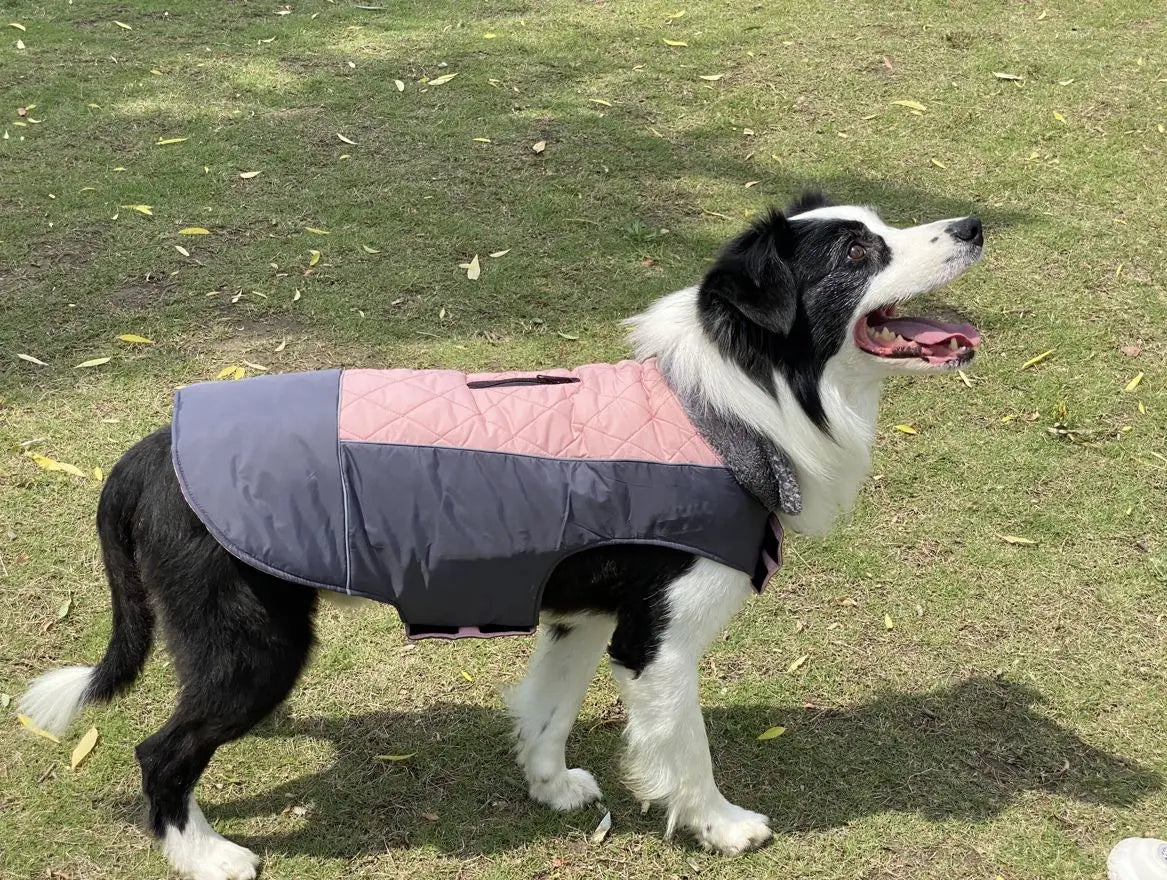 Warm Fleece Collar Dog Coat Jacket Double-Sided Winter Dog Coat Waterproof Puppy Clothing For Small Medium & Large Dogs Supplies