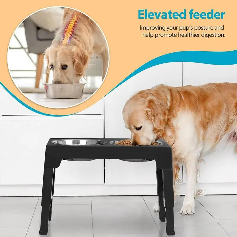 Elevated Stainless Steel Pet Feeding Bowls Height Adjustable Dog Bowl with Stand Cat Bowls Food Water Set with Two Bowls