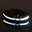 Dog Collar Nylon LED Night Safety Flashing Glow In The Dark Pet Dog Leash pet Dogs Luminous Fluorescent  dog accessories collar