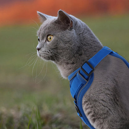 UXCELL Cat Harness and Leash Set Adjustable Vest with Reflective Strips Escape Proof for Cat and Small Dog Outdoor Hiking