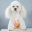 Dots Pet Dog Shorts Diaper Sanitary Physiological Pants Puppy Jumpsuit Sanitary Brief Panties Menstruation Underwear Briefs
