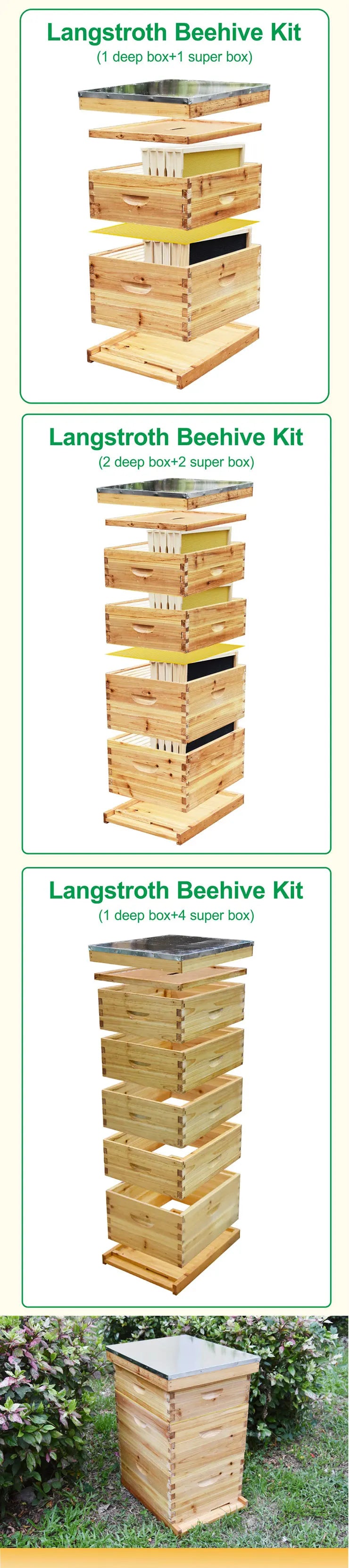 Benefitbee beekeeping 3 layers Langstroth beehive kit with 1 deep box and 2 super boxes bee hive complete