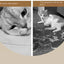 Cat Litter Box Fully Enclosed Drawer Type Cat Litter Box Anti-splash and Odor Isolation Cat Toilet Extra Large Cat Litter Box
