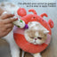 Cat Recovery Collar Stop Licking E Collar For Recovery Adjustable Cat E Collar Surgerys Recovery Elizabethan Collars For Kitten