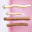 Natural Wood Pet Parrot Raw Wood Fork Tree Branch Stand Rack Squirrel Bird Hamster Branch Perches Chew Bite Toys Stick