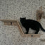 Cat Tree Tower Cat Climbing Shelf Wall Mounted Steps Curved Cat Bed Widen Access Corner Perches Hammock For Sleep Pet Furniture