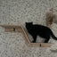 Cat Climbing Shelf Scraper for Cats Bridge Channel Beds And Furniture Cat Tree Tower Cat Toy Interactive Pet Accessories