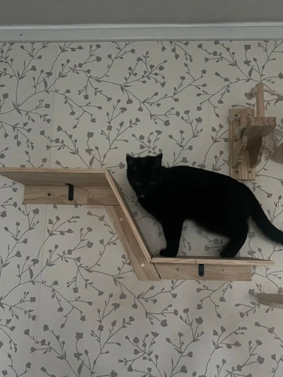 Cat Climbing Shelf Scraper for Cats Bridge Channel Beds And Furniture Cat Tree Tower Cat Toy Interactive Pet Accessories