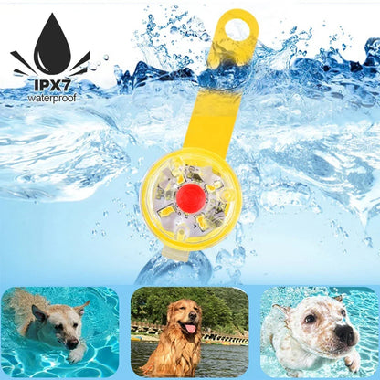 Dogs Collars Anti Loss Pendant Waterproof Safety LED Flashing Light USB Rechargeable LED Light Pendant For Dogs Cats Pets
