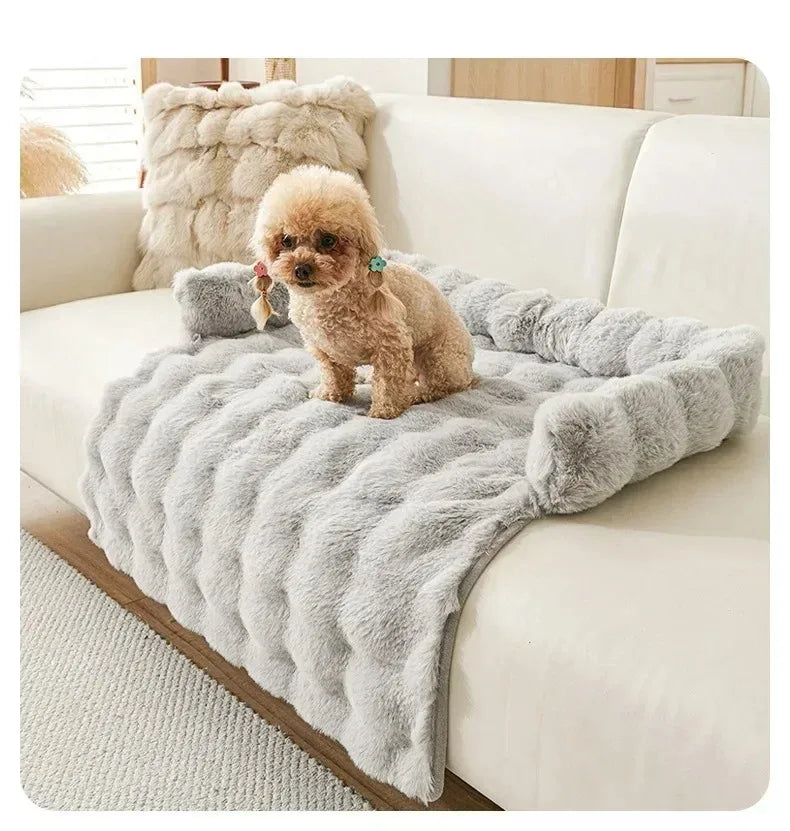 Pet Accessories Dog Bed Small Dog Baskets Puppy Breeds Dogs Medium Bedding Pets Products Large Bad Mat Cushions Beds Big Cushion