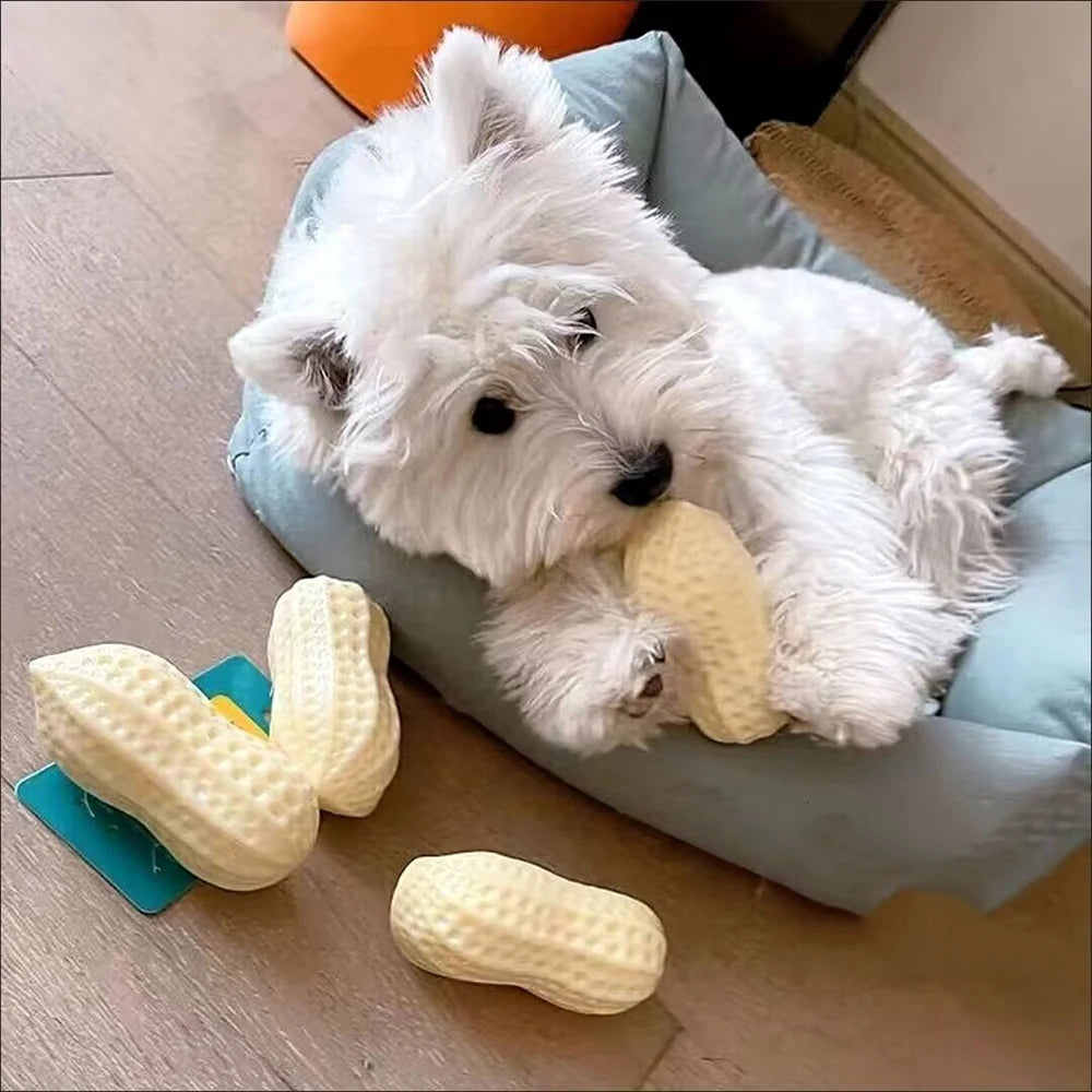 Safety TPR Squeaky Dog Toys Bite Resistant Pet Chew Toy for Puppy Medium Large Dogs French Bulldog mascotas Interactive Products