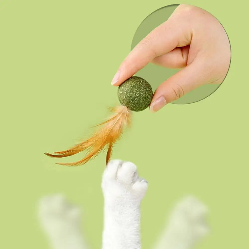 Catnip Ball Feather Cat Toy Ball Feather Cat Tooth Cleaning Cat Toy Catnip Ball Interactive Chew Catnip Pet Supplies