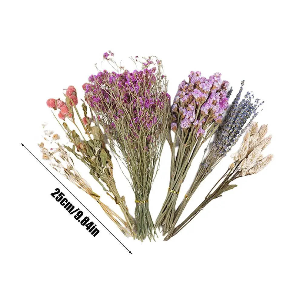 Flower And Plant Bedding Natural Hamster Bedding Hamster Deodorizing Bedding Small Animal Deodorant Product Landscaping Supplies