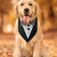 Bandana for Dogs Fashionable Small Dog Bandana Triangle Dog Scarf Pet Triangle Scarf Breathable Dog Handkerchiefs for Parties