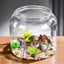 Large Turtle Tank Transparent Turtle Aquarium Turtle Tank With Lid Turtle Terrarium Tortoise Enclosure With Removable Cover