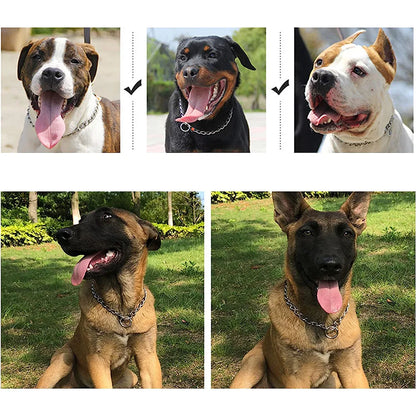Dog Choke Collar Chew-proof Metal Dog Slip Chain Pinch Collars for Small Medium Large Dogs Training Obedience Pet Chain Collar