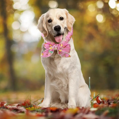 Pet Cooling Collar Bow Tie Dogs Cats Instant Cooling Neck Waring Reusable Instant Cooling Bandanas Dog Cooling Neck Wraps