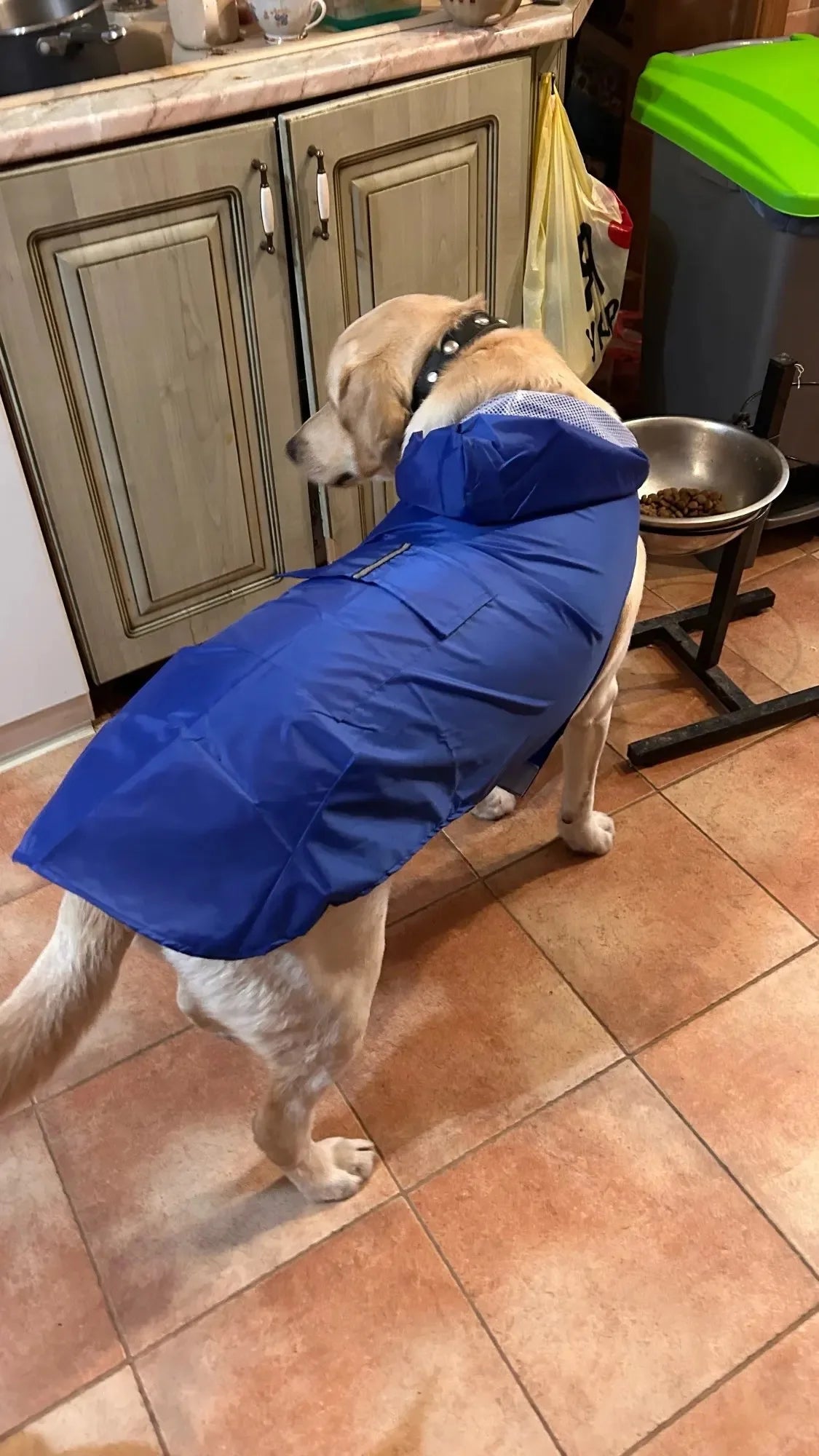 Big dog raincoat reflective waterproof windproof hooded raincoat large dog clothing outdoor raincoat  dog clothing jacket