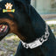 19MM Stainless Steel Dog Collar Choker Metal Cuban Link Chain Luxury Pets Necklace for Dogs Walking Heavy Duty
