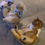Universal Capsule removable cat bed, sleeping nest, clear cat house cover, all-season universal, hammock kitten